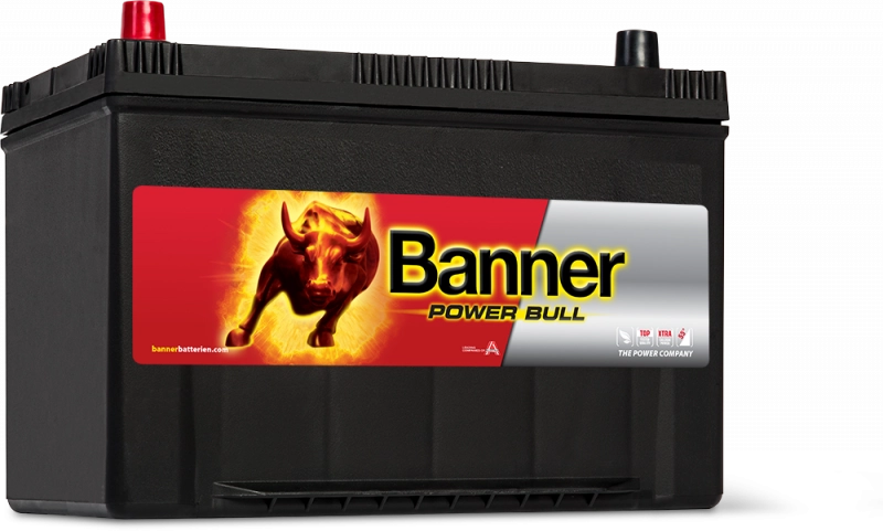BANNER 12v 95  Amp Akü Ters Yüksek 