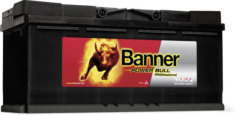 BANNER 12v 100 Amp Akü Alçak Tip